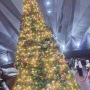 ヒメ日記 2025/12/26 10:31 投稿 あいす 横浜ひよこ倶楽部