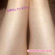 ヒメ日記 2025/05/24 19:27 投稿 みあ ぽっちゃり巨乳素人専門横浜関内伊勢佐木町ちゃんこ