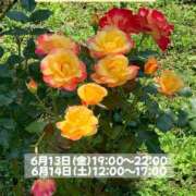 ヒメ日記 2025/06/05 08:46 投稿 みあ ぽっちゃり巨乳素人専門横浜関内伊勢佐木町ちゃんこ