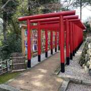 ヒメ日記 2025/04/20 11:25 投稿 せり 美熟女倶楽部Hip's 春日部店