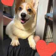 ヒメ日記 2025/09/14 00:14 投稿 せり 美熟女倶楽部Hip's 春日部店