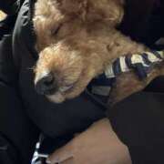 ヒメ日記 2025/09/26 23:34 投稿 せり 美熟女倶楽部Hip's 春日部店