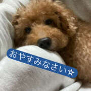 ヒメ日記 2025/10/04 00:14 投稿 せり 美熟女倶楽部Hip's 春日部店