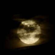 ヒメ日記 2025/11/07 09:02 投稿 せり 美熟女倶楽部Hip's 春日部店