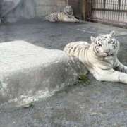 ヒメ日記 2025/11/19 23:12 投稿 せり 美熟女倶楽部Hip's 春日部店