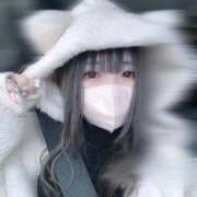 ヒメ日記 2025/05/03 12:26 投稿 あお ZERO-i