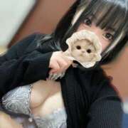 ヒメ日記 2025/05/27 16:26 投稿 あお ZERO-i