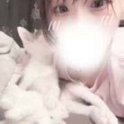 ヒメ日記 2025/08/10 13:26 投稿 あお ZERO-i