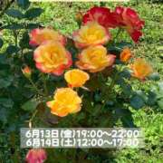 ヒメ日記 2025/06/05 08:33 投稿 みあ 新横浜ちゃんこ