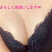 ヒメ日記 2025/06/11 19:33 投稿 みあ 新横浜ちゃんこ