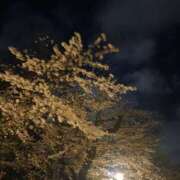 ヒメ日記 2025/04/21 00:20 投稿 めい クンニ専門店 おクンニ学園 池袋校