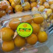 ヒメ日記 2026/02/27 08:30 投稿 新木　みおか やみつきエステ2nd札幌店