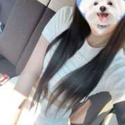 ヒメ日記 2025/07/31 20:58 投稿 うらら ドマーニ