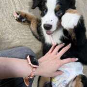 ヒメ日記 2025/10/21 16:17 投稿 うらら ドマーニ