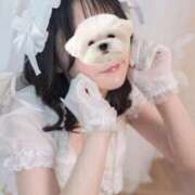 ヒメ日記 2025/10/31 18:09 投稿 うらら ドマーニ