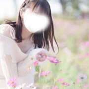 ヒメ日記 2025/11/07 12:30 投稿 うらら ドマーニ