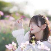 ヒメ日記 2025/12/02 12:16 投稿 うらら ドマーニ