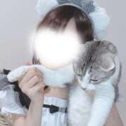 ヒメ日記 2025/12/12 22:06 投稿 うらら ドマーニ