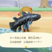 ヒメ日記 2025/12/25 11:45 投稿 うらら ドマーニ