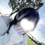 ヒメ日記 2025/12/29 07:43 投稿 うらら ドマーニ