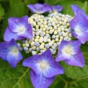 ヒメ日記 2025/05/29 23:06 投稿 ひまり ぼくらのデリヘルランドin久喜店