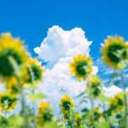 ヒメ日記 2025/07/08 18:36 投稿 ひまり ぼくらのデリヘルランドin久喜店