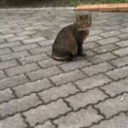 ヒメ日記 2025/07/18 16:06 投稿 ひまり ぼくらのデリヘルランドin久喜店