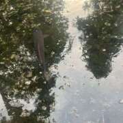 ヒメ日記 2025/08/01 16:46 投稿 ひまり ぼくらのデリヘルランドin久喜店