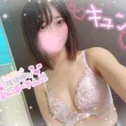 ヒメ日記 2025/04/29 08:20 投稿 めぐは（動画撮影OＫ） OKINI Tokyo in 蒲田