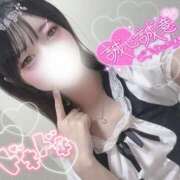 ヒメ日記 2025/07/27 12:20 投稿 めぐは（動画撮影OＫ） OKINI Tokyo in 蒲田