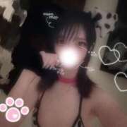 ヒメ日記 2025/10/28 03:50 投稿 めぐは（動画撮影OＫ） OKINI Tokyo in 蒲田