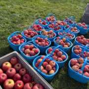 斉藤なお こんにちは すべりん棒シャンプー娘。（横浜ハレ系）