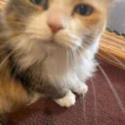 ヒメ日記 2025/12/13 19:23 投稿 斉藤なお すべりん棒シャンプー娘。（横浜ハレ系）