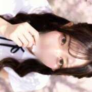 ヒメ日記 2026/04/01 09:45 投稿 かれん 秘書室(吉原)