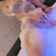 ヒメ日記 2025/04/16 19:03 投稿 ちる 奥様なでしこ