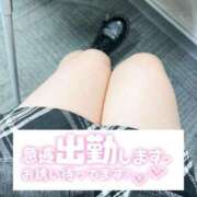 ヒメ日記 2025/11/11 19:19 投稿 つぐみ クラブバカラ