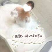 ヒメ日記 2026/03/27 16:49 投稿 つぐみ クラブバカラ