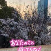 ヒメ日記 2026/04/05 17:09 投稿 つぐみ クラブバカラ