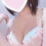 ヒメ日記 2025/04/13 17:06 投稿 ねむ 上野ハンドメイド