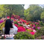 ヒメ日記 2025/04/14 21:00 投稿 ひなの Vitamin〜ビタミン〜