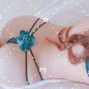 ヒメ日記 2025/11/28 02:14 投稿 智尋/ちひろ 粋なエステ