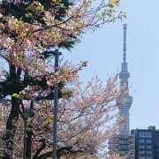 ヒメ日記 2025/04/15 08:46 投稿 木村 熟女デリヘル倶楽部