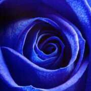 ヒメ日記 2025/04/17 13:00 投稿 木村 熟女デリヘル倶楽部