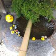 ヒメ日記 2025/04/17 13:11 投稿 木村 熟女デリヘル倶楽部