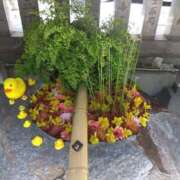 ヒメ日記 2025/05/03 13:09 投稿 木村 熟女デリヘル倶楽部