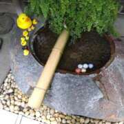 ヒメ日記 2025/05/14 13:38 投稿 木村 熟女デリヘル倶楽部