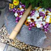 ヒメ日記 2025/07/03 11:58 投稿 木村 熟女デリヘル倶楽部