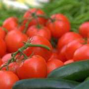 ヒメ日記 2025/07/26 13:30 投稿 木村 熟女デリヘル倶楽部