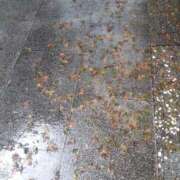 ヒメ日記 2025/10/11 12:59 投稿 木村 熟女デリヘル倶楽部