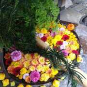 ヒメ日記 2025/11/03 13:00 投稿 木村 熟女デリヘル倶楽部